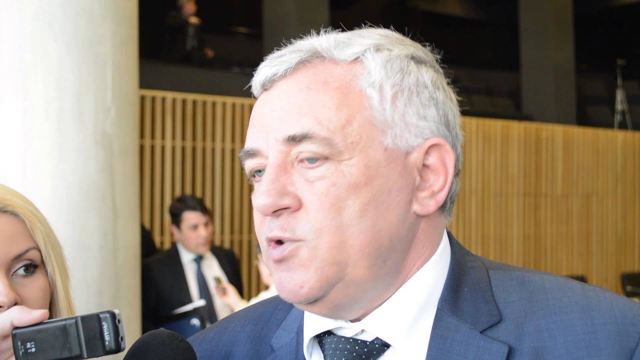 Centrul Intermodal de Mărfuri de la Remetea Mare