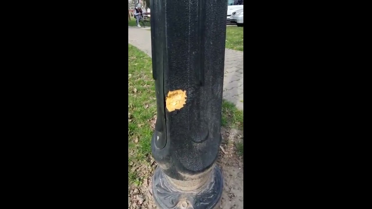 Iron man! Șobolanii din Parcul Civic au ros stâlpii de oțel