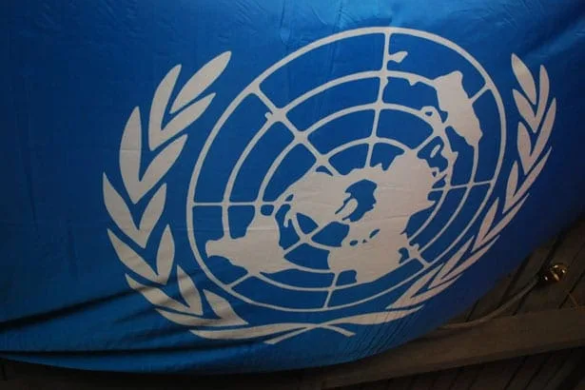 Forum ONU pe tema rromilor la Timişoara