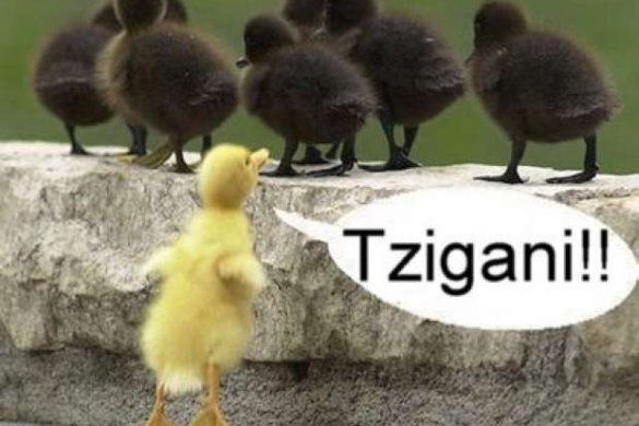 Bancul zilei – 26 septembrie