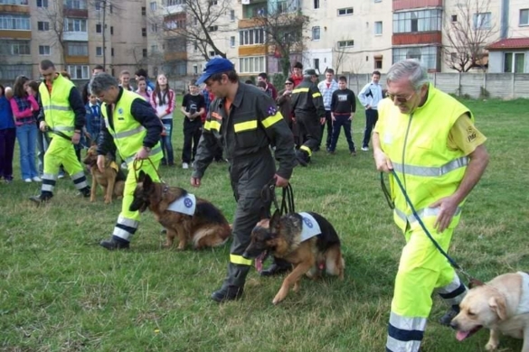 Sărbătoare în Calea Martirilor