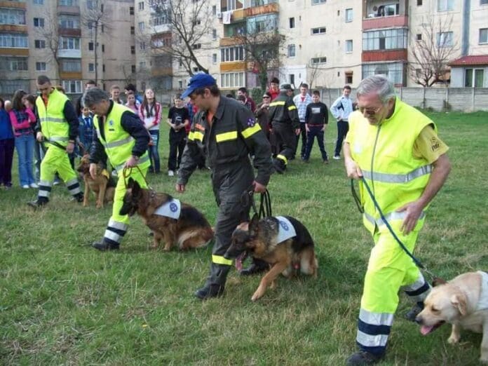 Sărbătoare în Calea Martirilor zilele