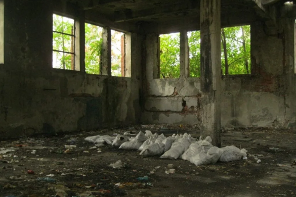 Clădire situată pe Bdul V. Pârvan – un adevărat focar de infecție