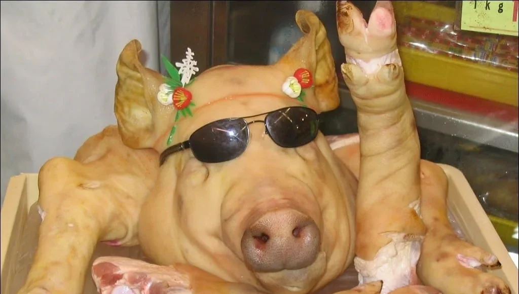 porc_vesel