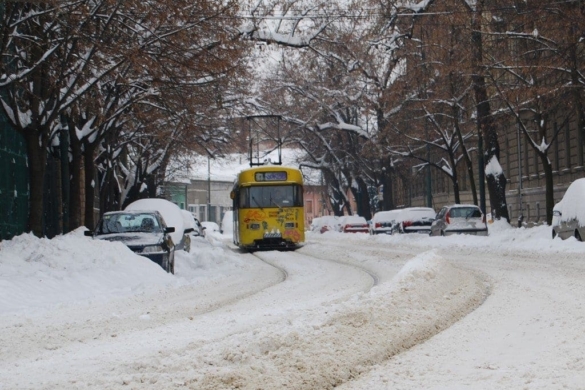 Nicolae Robu oferă încă o zi de transport public gratuit