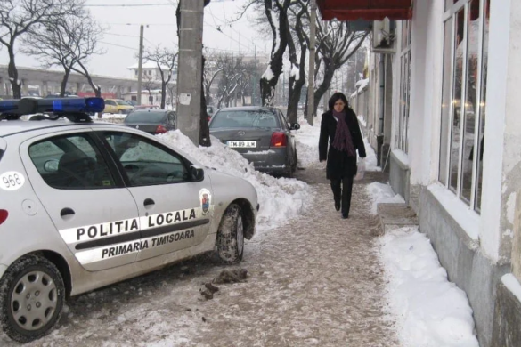 Profesori si elevi din Timis, fortati sa stea acasa dupa ninsoarea de azi-noapte