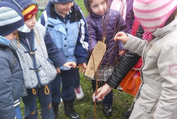 Copiii de la Grădinița cu Program Prelungit nr. 14 din Timișoara au plantat pomi fructiferi în curtea grădiniței. – UN OMULEȚ, UN POMULEȚ