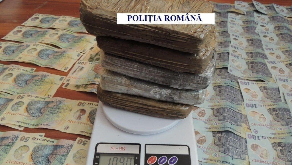 Reţea-specializată-în-traficul-de-canabis-destructurată-de-poliţiştii-antidrog_004