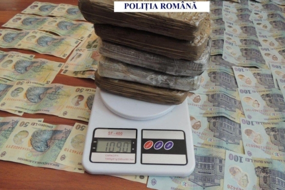 Reţea specializată în traficul de canabis, destructurată de poliţiştii antidrog