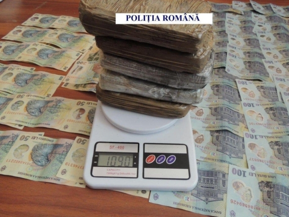 Reţea specializată în traficul de canabis destructurată de poliţiştii antidrog 004 Reţea specializată în traficul de canabis destructurată de poliţiştii antidrog 004