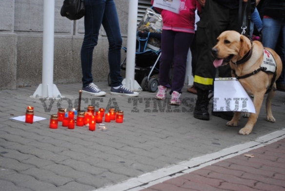 DSC 0153 DSC 0153
