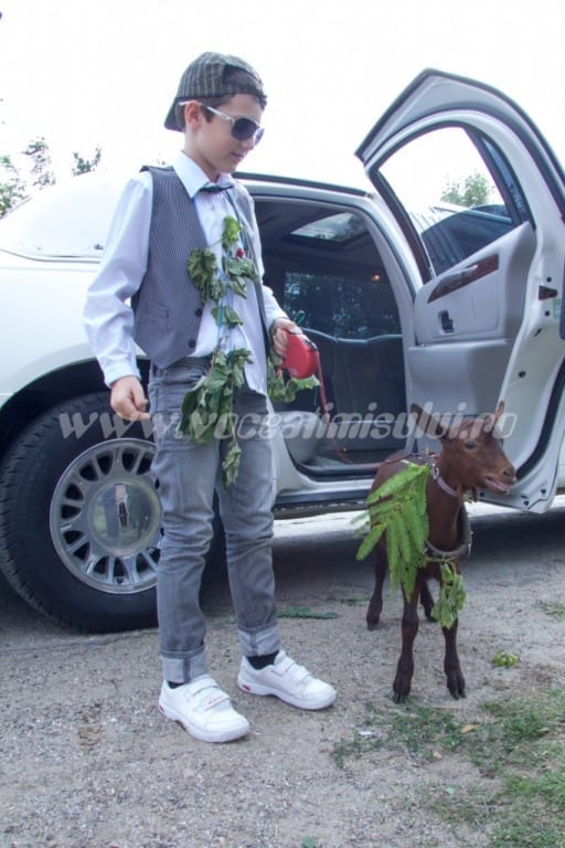 Un-copil-de-grădiniță-îl-face-”pilaf”-pe-designerul-Adrian-Haiduc_019