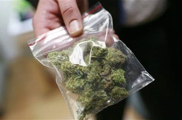 30 de grame de marijuana descoperite la Timişoara