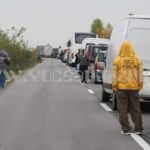 Accident deosebit de grav între Albina şi Sacoşu Turcesc. Un bărbat a murit după ce a fost izbit de un autocamion_092