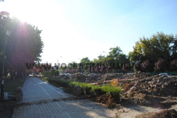 DSC 0065