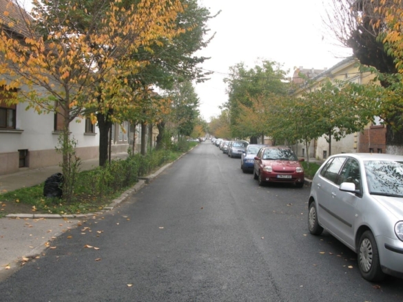 IMG 0041