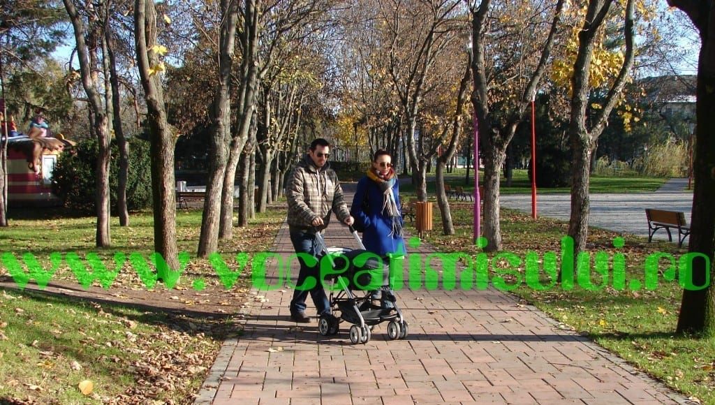 parcul-copiilor-timisoara-13