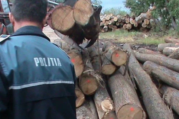 Un bărbat din Alba, depistat de poliţiştii din Coşteiu, cu o autoutilitară plină cu lemne, dar cu aviz expirat