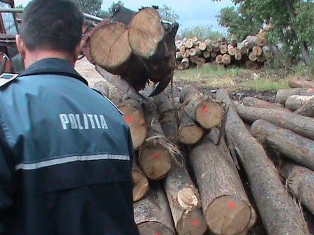 politia-lemn