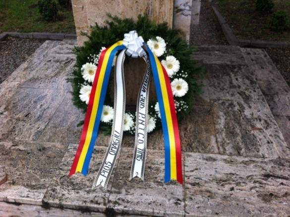 poză 4 poză 4
