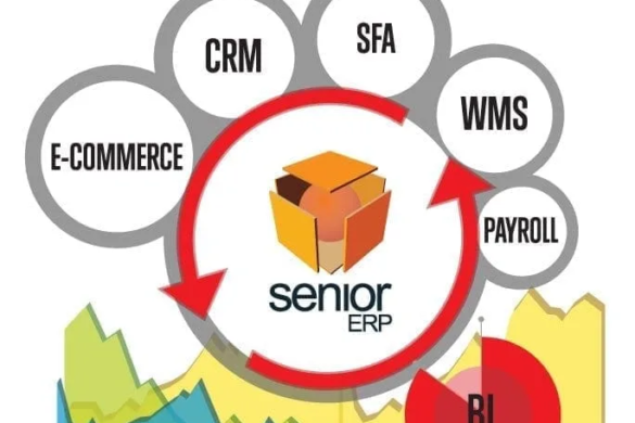 „SeniorERP” şi „SeniorVisualBI” cresc valoarea companiilor