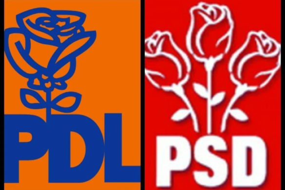 Bugetul pe 2014 din perspectiva PDL Timiş şi PSD Timiş