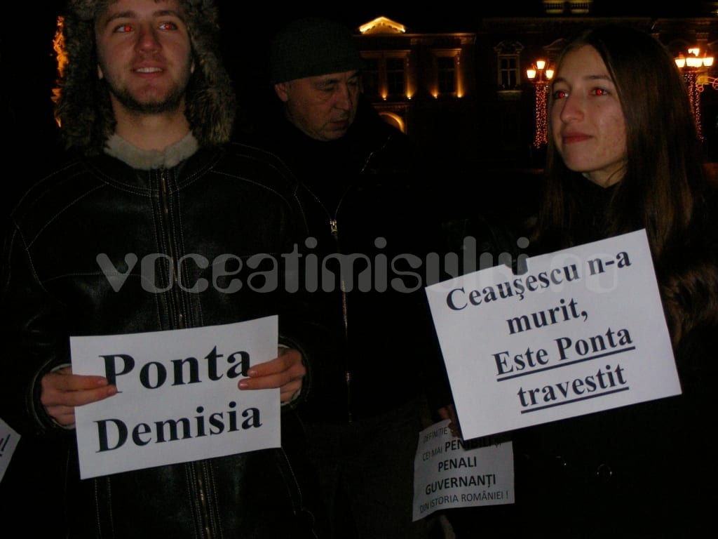 Partidul-Mişcarea-Populară-Timiş19
