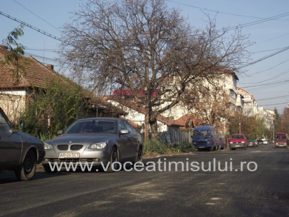 Picture 010