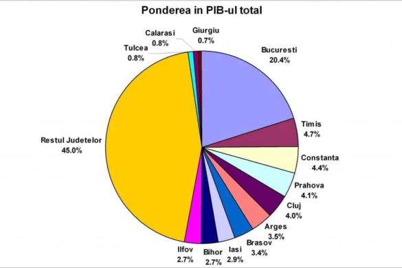 Timişul, al doilea judeţ cu cea mai mare pondere în PIB