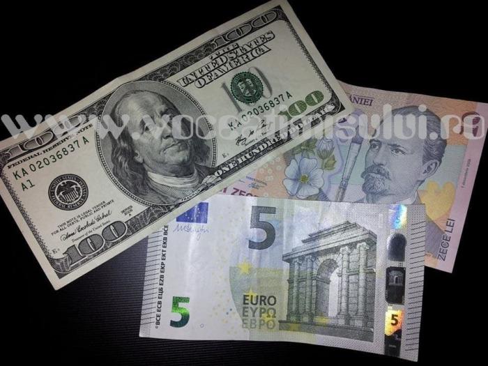 bani-dolari-lei-euro