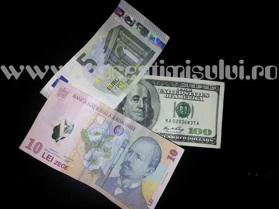 bani-euro-dolari-lei