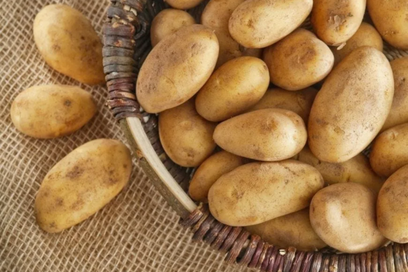 Trei alimente pe care nu ar trebui să le ţii în frigider