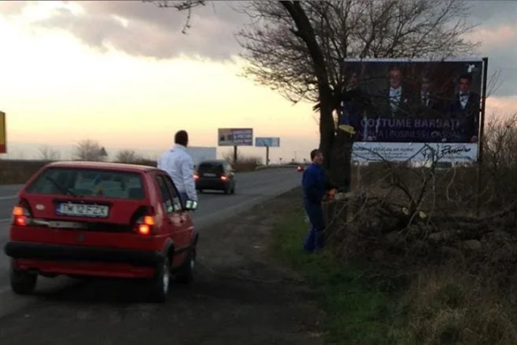 La Timişoara, defrişarea se face zi şi noapte, pentru motive… diverse EXCLUSIV FOTO