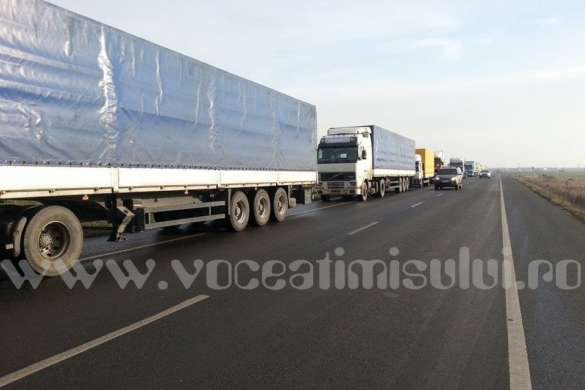 GREVĂ! Sătui de taxe, impozite și amenzi prea mari, transportatorii au „strâns” centura… Timișoarei