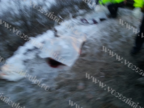 Accident violent din cauza zăpezii pe Calea Lugojului17