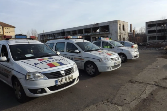 Înghesuială la condus fără permis, în Timiş. Sau băut, la volan!