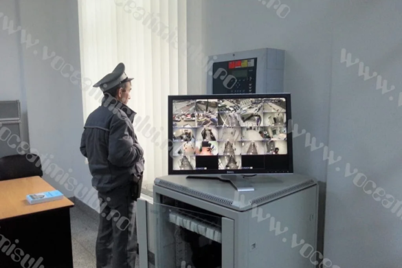 Porţi deschise, de Ziua Poliţiei Locale. Ce pot admira timişorenii la sediul instituţiei