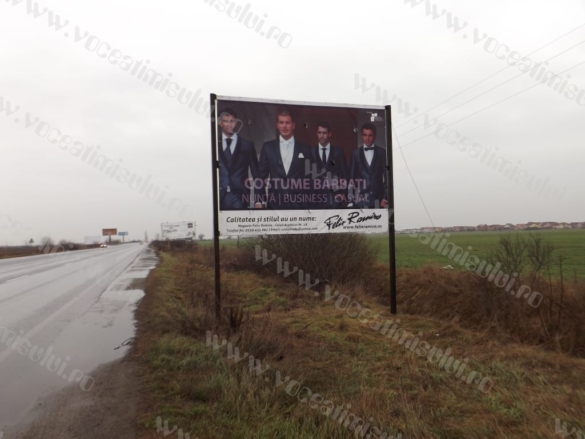 Defrisare ilegala in Timisoara04