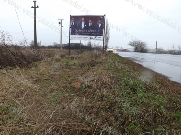 Defrisare ilegala in Timisoara07