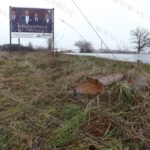 Defrisare ilegala in Timisoara08
