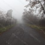 Drum cu ceata1