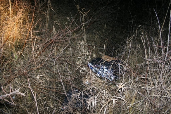 IMG 0003 IMG 0003