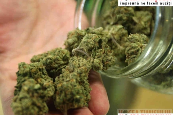 După legalizarea cannabisului, Colorado şi Washington au deschis primele „coffee shops”