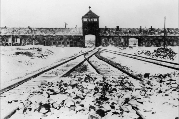 Evenimente dedicate Zilei Memoriei şi a Holocaustului, la Timişoara