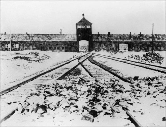 auschwitz tl jpg auschwitz tl jpg