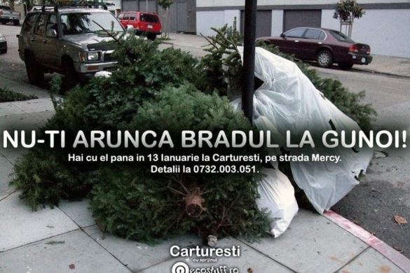 Carturesti Mercy strânge brazii de Crăciun „fără adăpost”
