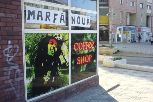 O nouă lege împotriva etnobotanicelor? „În România sunt peste 1.000 de tipuri”