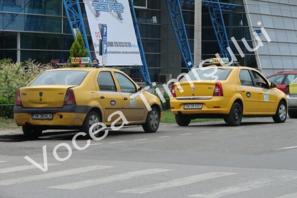 Eşti taximetrist în Timişoara? Trebuie să citeşti ce-ţi cere Primăria pentru a-ţi continua meseria