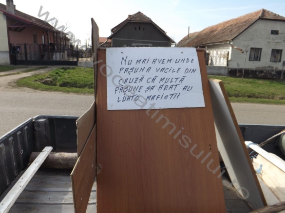 03Un dudeştean a început azi cel mai lung protest la adresa mafiei din Primărie 03Un dudeştean a început azi cel mai lung protest la adresa mafiei din Primărie
