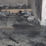 Boschetarii din Timişoara pun autorităţiile pe jar08 jpg
